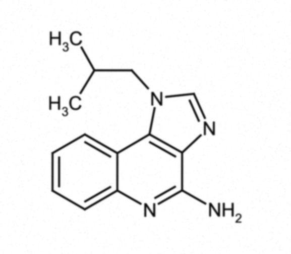 imiquimod